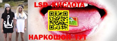 хмурый Бийск