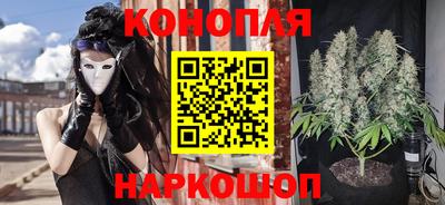 Альфа ПВП Берёзовский