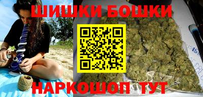 хмурый Бийск