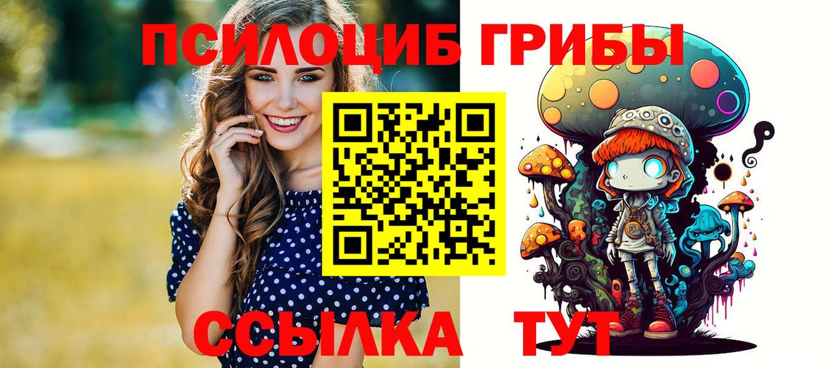 Псилоцибиновые грибы Psilocybine cubensis Долгопрудный