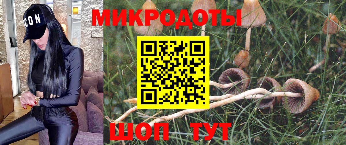купить наркотик  Вход с VPN  Долгопрудный  Псилоцибиновые грибы Cubensis 